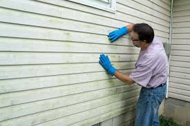 Best Siding Painting and Refinishing  in Fall River, MA